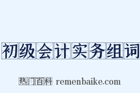 初级会计实务组词是什么意思的图片
